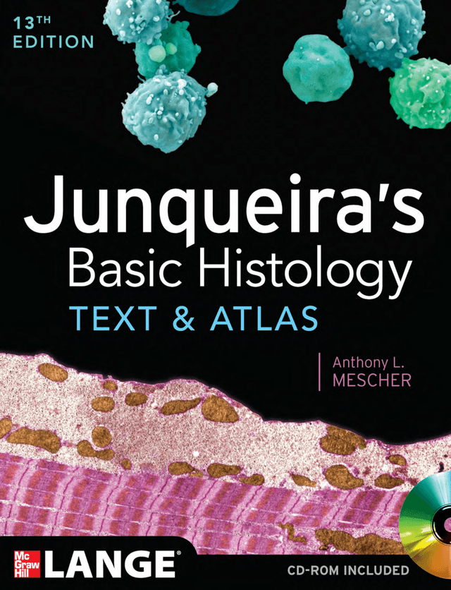 Junqueira's - Basic Histology Text and Atlas - 14Indo