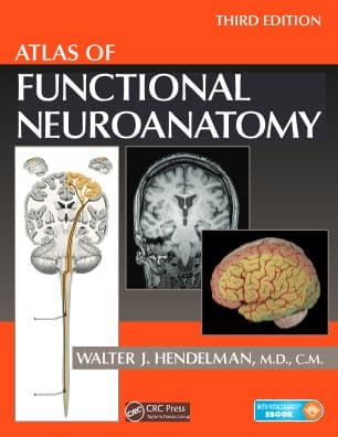 Atlas Of Functional Neuroanatomy by Walter Hendelman M.D.