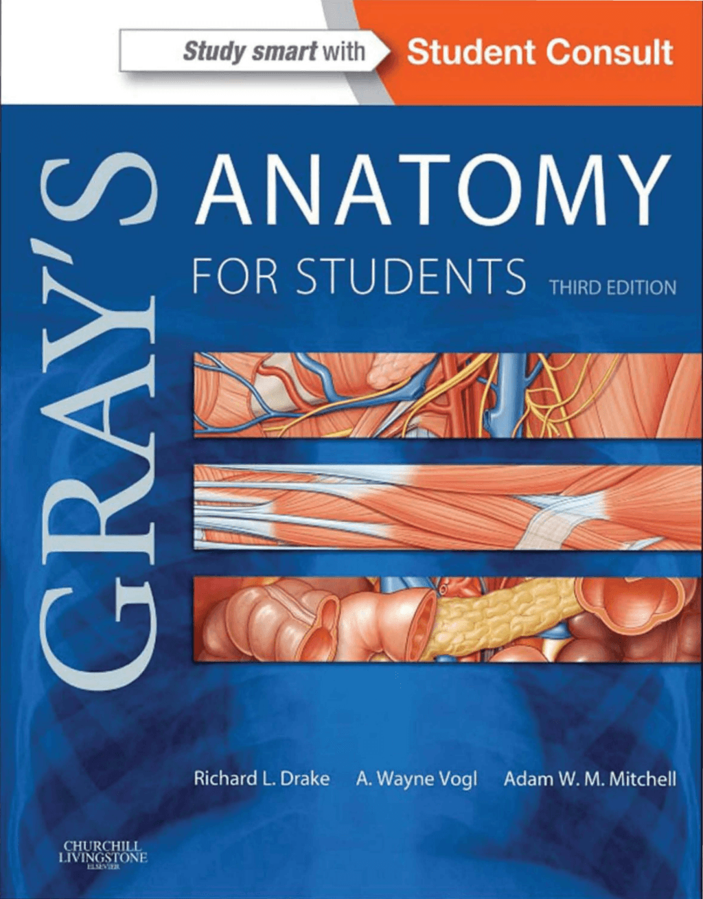 Gray's Anatomy For Students 3rd Ed