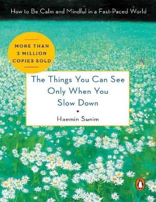 The Things You Can See Only When You Slow Down by Haemin Sunim