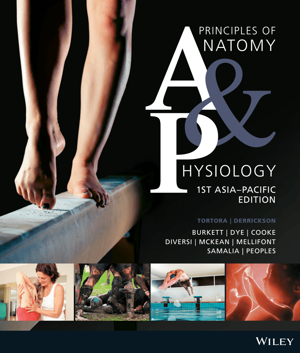 Principles Of Anatomy And Physiology by Gerard J. Tortora